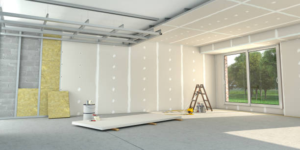 Best Local Insulation Services  in New Prague, MN