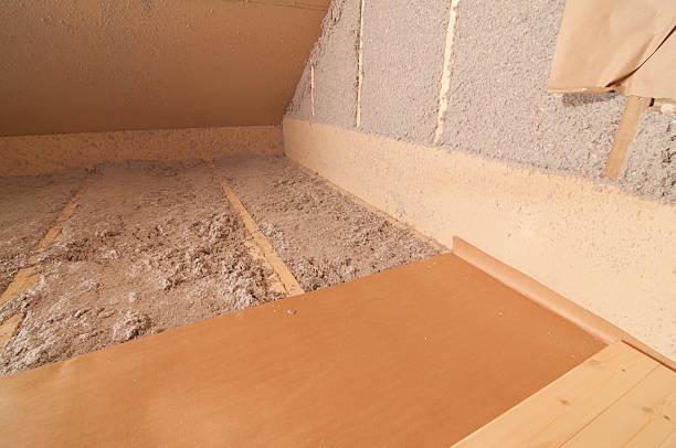 Best Insulation Inspection Services  in New Prague, MN