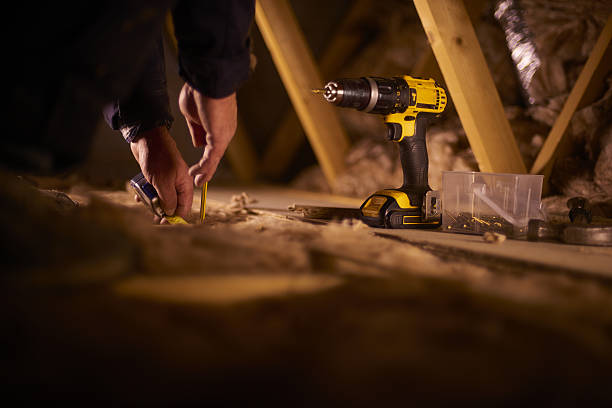 Best Insulation Contractors for Homes  in New Prague, MN